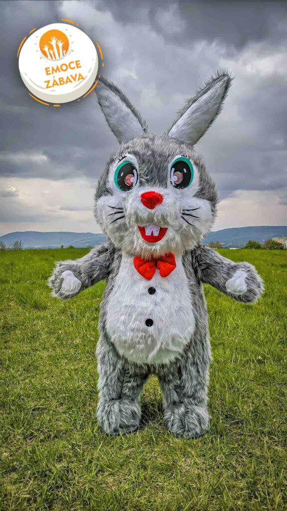 maskot králík, zajíc, Animační tým DanceMission.CZ, eventová agentura, teambuilding, family day, zábavné atrakce, balónková dekorace, balónková výzdoba, fotoslužby, fotoreport, produkce, maturák, Teplice, služby pro firmy, Sportovní program, Sportovní aktivity